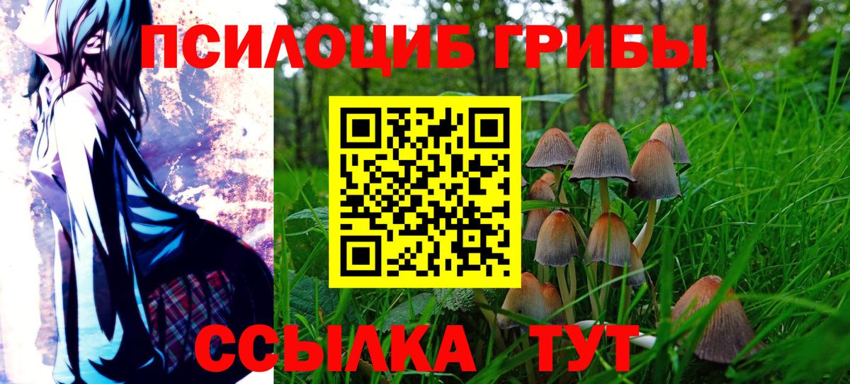 Галлюциногенные грибы MAGIC MUSHROOMS Таганрог