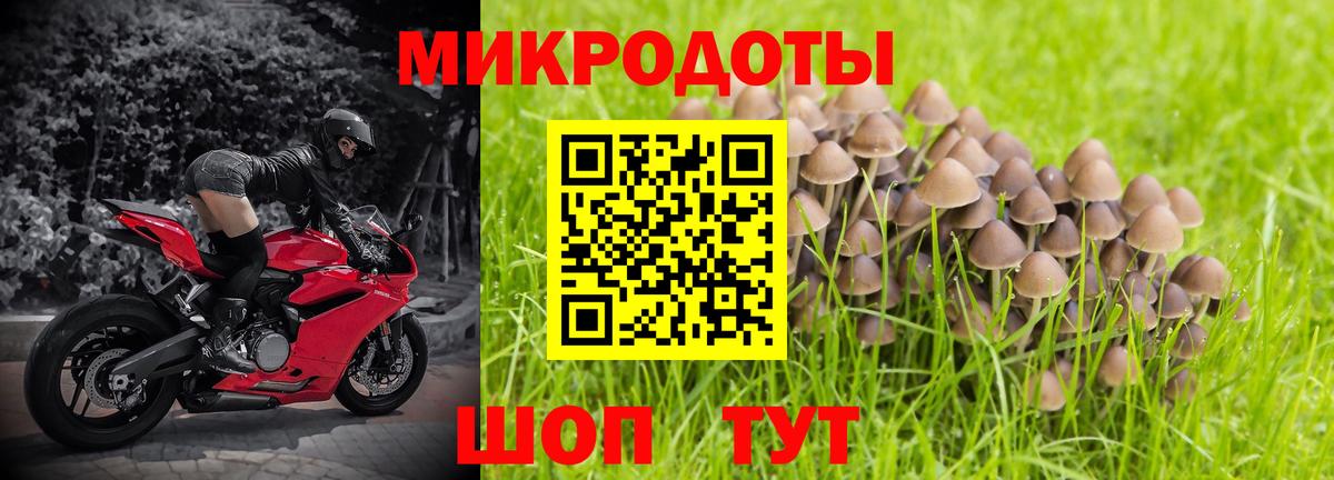 Псилоцибиновые грибы Psilocybe  Вход с VPN  Псилоцибиновые грибы ЛСД  Таганрог 